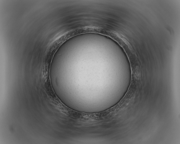 X0000113261015200909241518