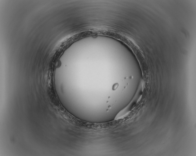 X0000113261016200909241518