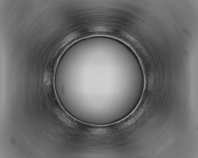 X0000113261017200909241518