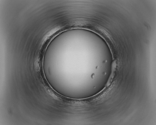 X0000113261018200909241518