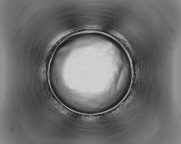 X0000113261019200909241518