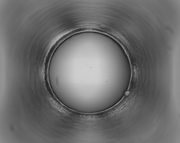 X0000113261020200909241518