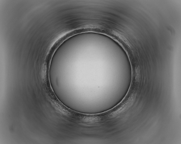 X0000113261021200909241518