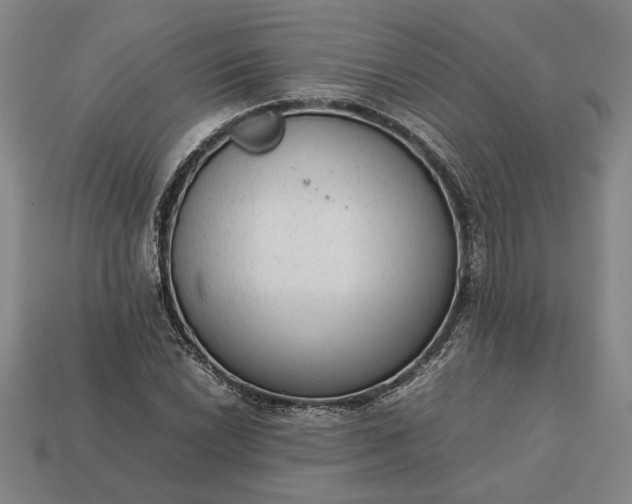 X0000113261022200909241518