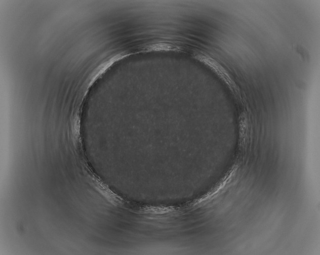 X0000113261023200909241518