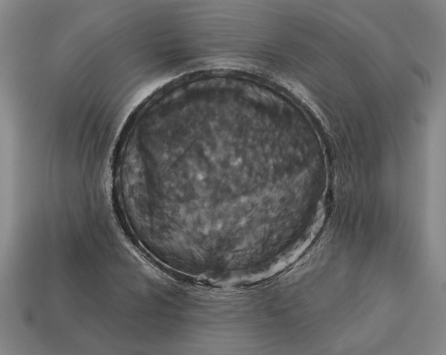 X0000113261024200909241518