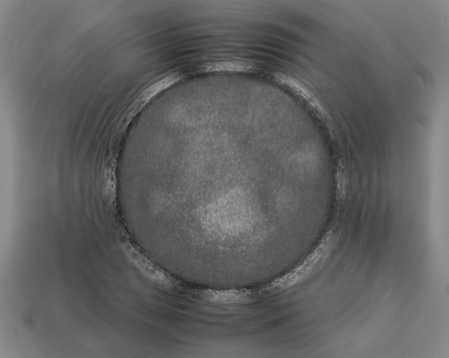 X0000113261025200909241518