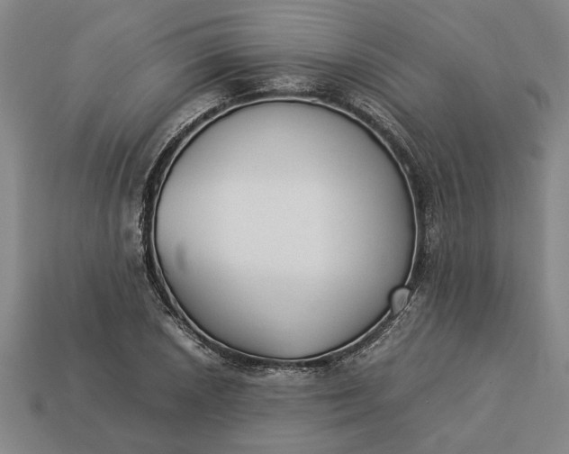 X0000113261026200909241518