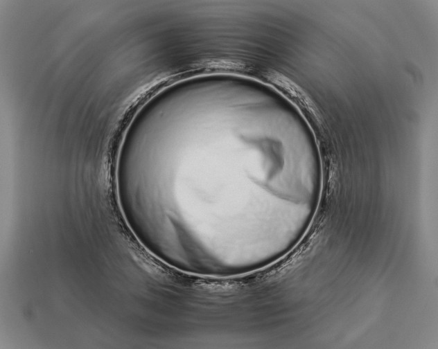 X0000113261027200909241518