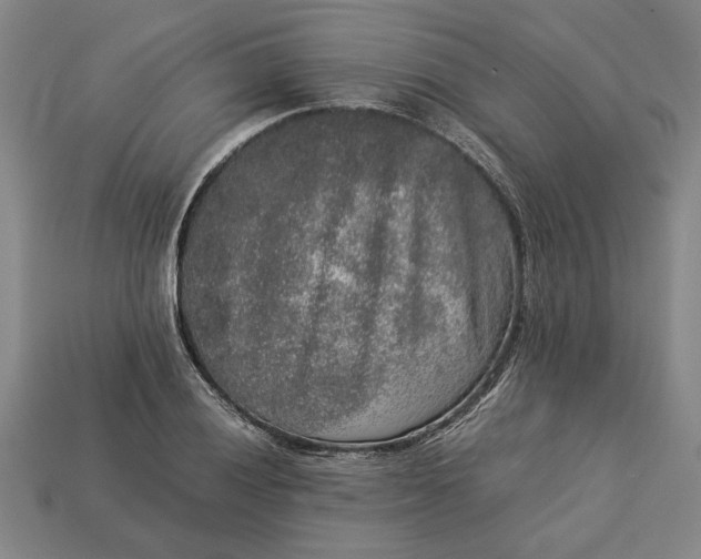 X0000113261028200909241518