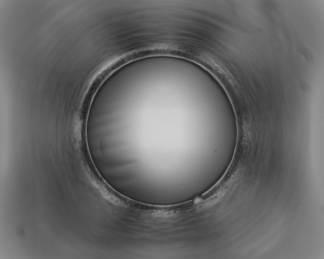 X0000113261029200909241518