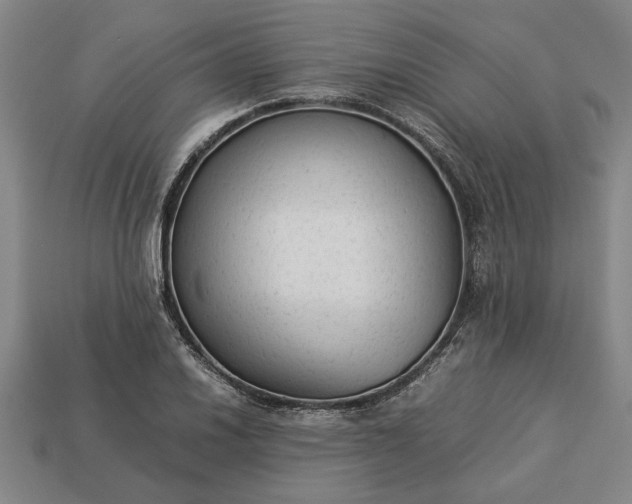 X0000113261030200909241518