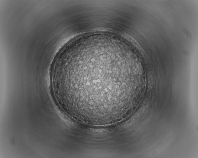 X0000113261031200909241518