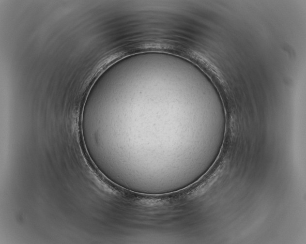 X0000113261033200909241518