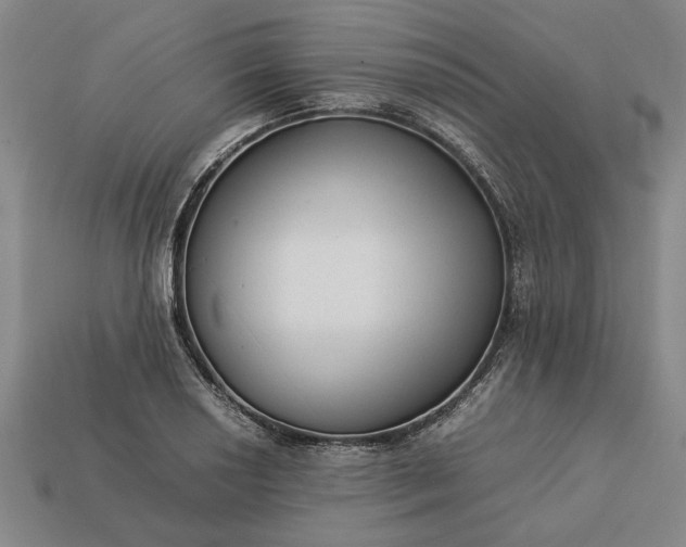 X0000113261034200909241518