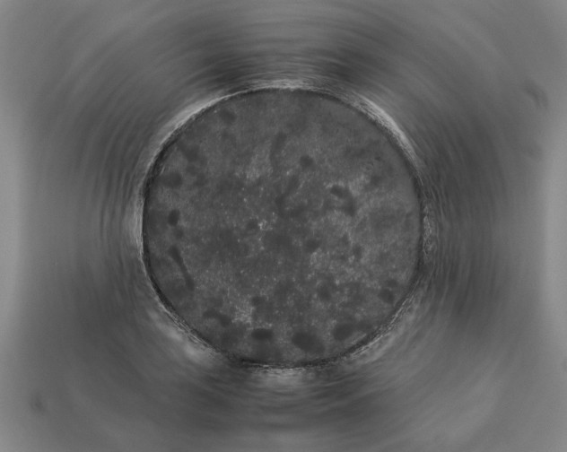 X0000113261035200909241518