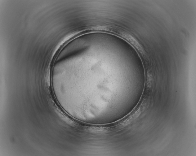 X0000113261036200909241518