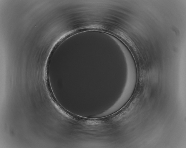 X0000113261037200909241518