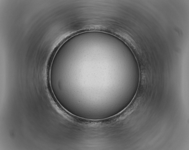 X0000113261038200909241518