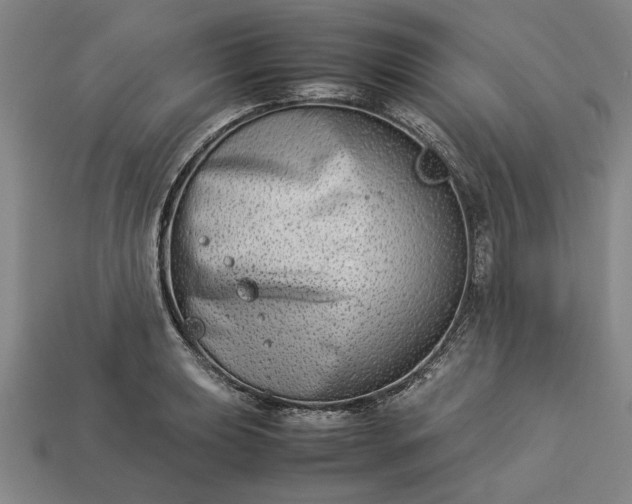 X0000113261039200909241518