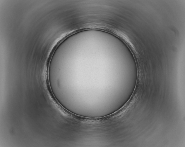 X0000113261040200909241518