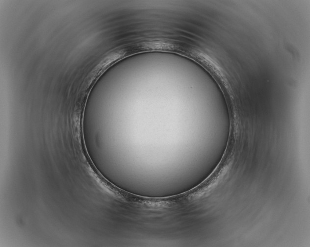 X0000113261041200909241518