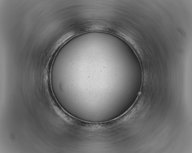 X0000113261042200909241518