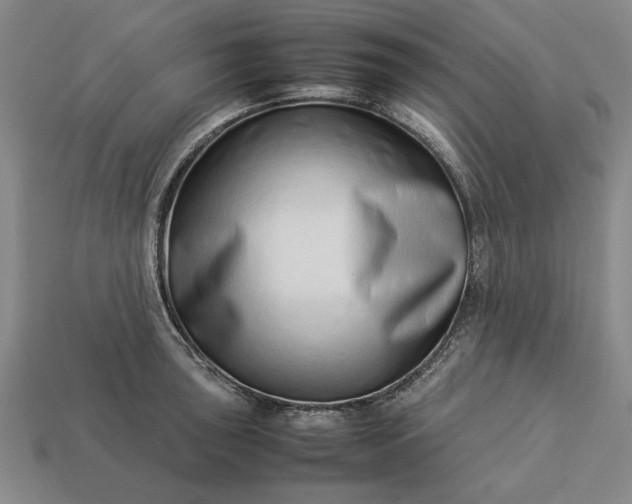 X0000113261043200909241518