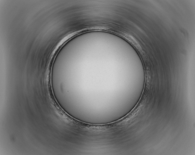 X0000113261044200909241518