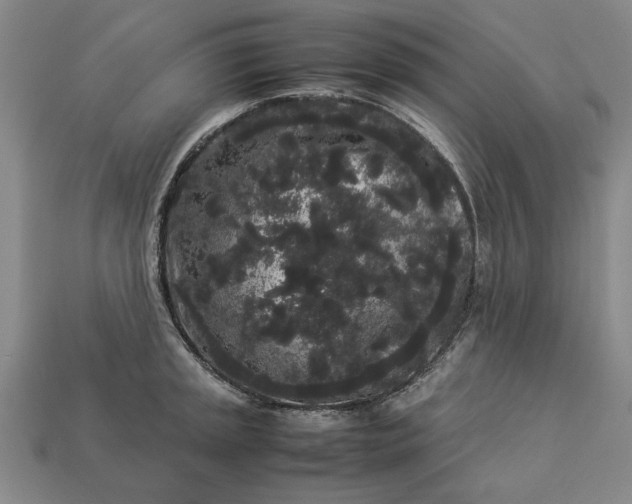 X0000113261045200909241518