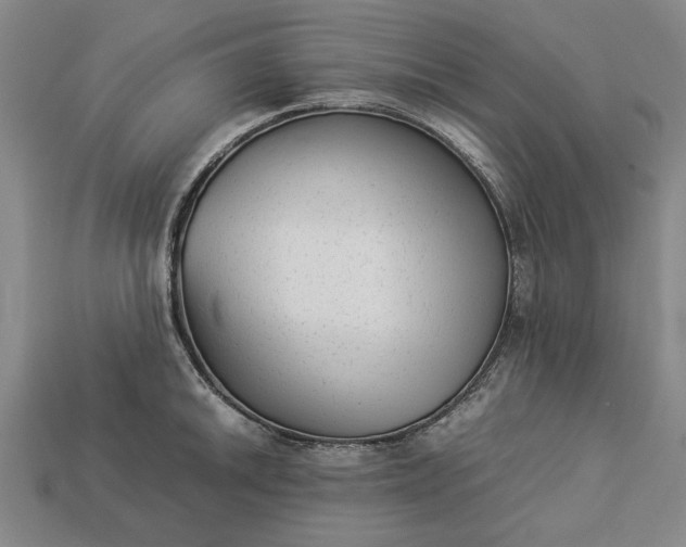 X0000113261046200909241518