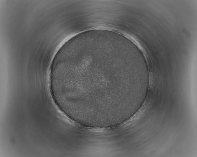 X0000113261048200909241518