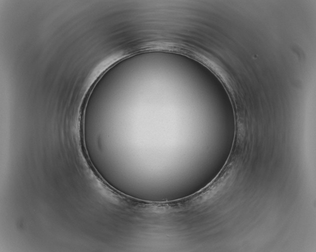 X0000113261050200909241518