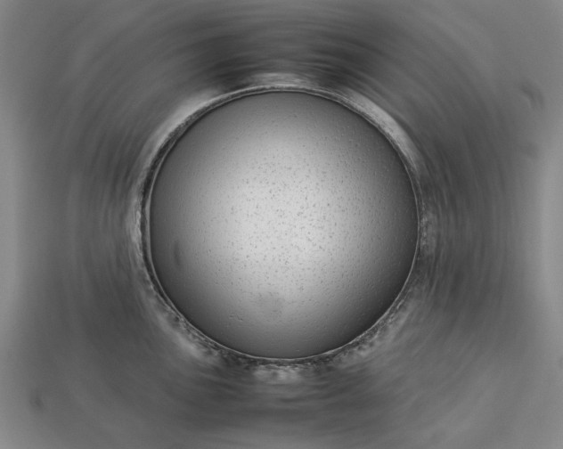 X0000113261051200909241518