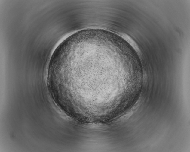 X0000113261052200909241518