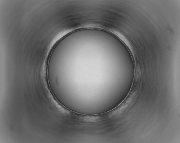 X0000113261053200909241518