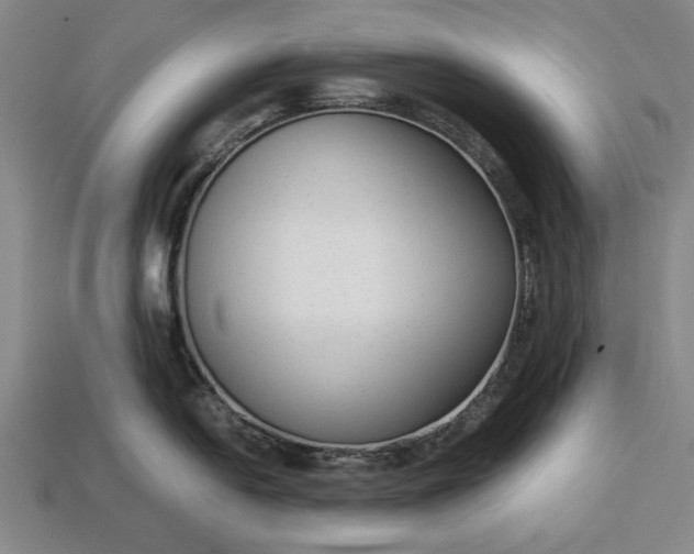 X0000113261054200909241518