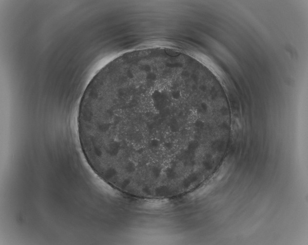 X0000113261055200909241518