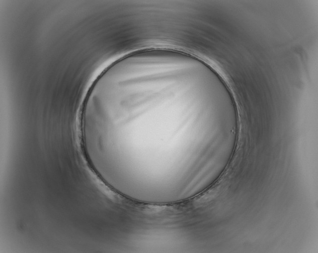 X0000113261056200909241518