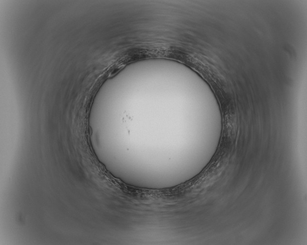 X0000113261057200909241518