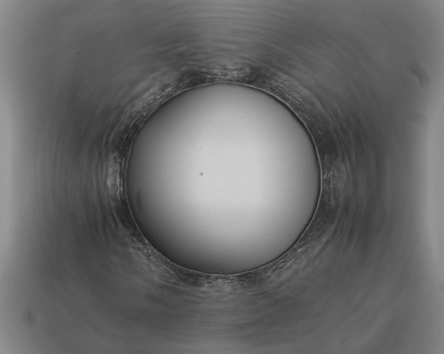 X0000113261058200909241518