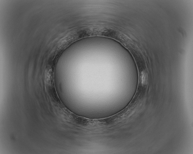 X0000113261059200909241518