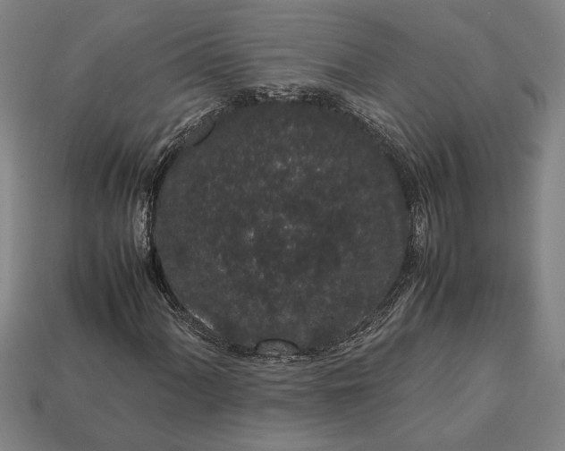 X0000113261060200909241518