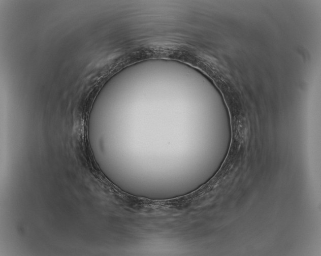 X0000113261061200909241518