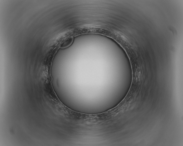 X0000113261062200909241518