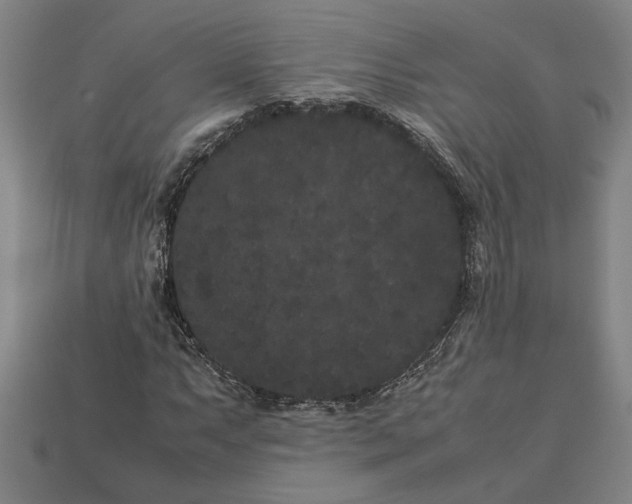 X0000113261063200909241518