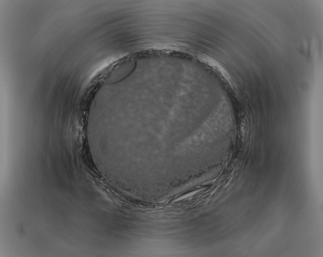 X0000113261064200909241518