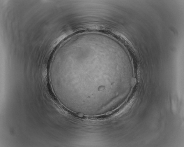 X0000113261065200909241518