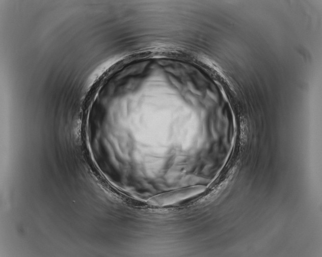 X0000113261066200909241518