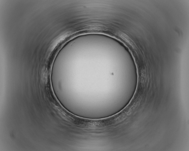 X0000113261067200909241518